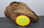 Feuilles de catappa pour aquarium, Ophalen of Verzenden, Nieuw, Overige typen