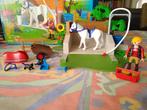 Playmobil wasbox voopaarden, Ophalen