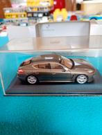 Porsche Panamera, Hobby en Vrije tijd, Ophalen of Verzenden, Nieuw
