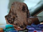 Versteend hout, Ophalen of Verzenden