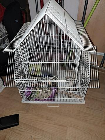 Cage oiseau 