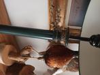 Tafel lamp, Antiek en Kunst, Ophalen of Verzenden