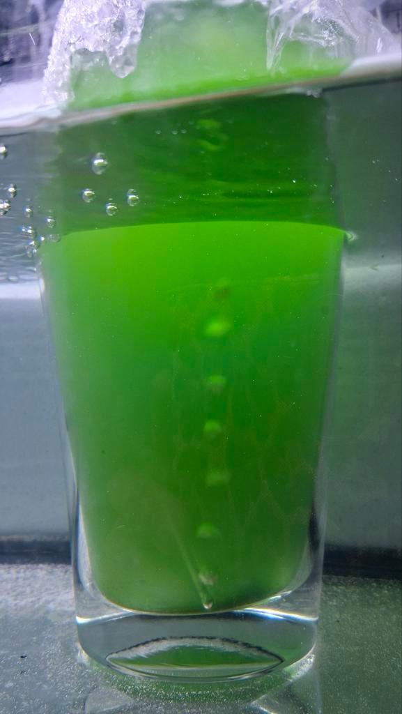 Phytoplankton nannochloropsis., Dieren en Toebehoren, Vissen | Aquaria en Toebehoren, Ophalen