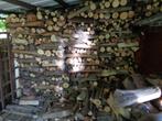extra droog brandhout, Autres essences de bois, Enlèvement, Bûches