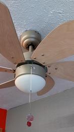 Ventilateur plafond., Electroménager, Enlèvement