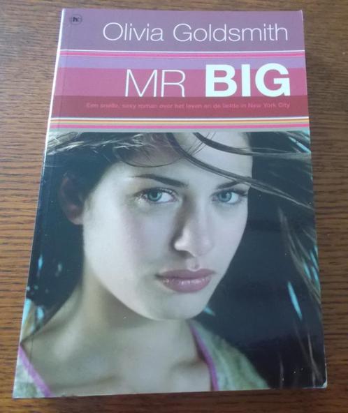 MR. BIG / Olivia Goldsmith, Boeken, Romans, Zo goed als nieuw, Ophalen