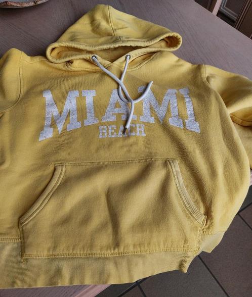 hoodie dames, Kleding | Dames, Truien en Vesten, Gedragen, Maat 38/40 (M), Ophalen