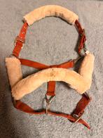 pony halsters te koop, Dieren en Toebehoren, Ophalen of Verzenden, Gebruikt, Overige soorten