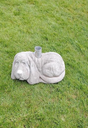 Hond in beton. 