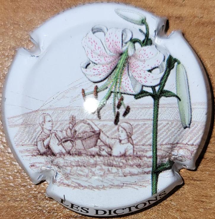 Capsule Champagne de VIGNERONS Série Les Dictons nr.792a, Collections, Vins, Neuf, Champagne, France, Enlèvement ou Envoi