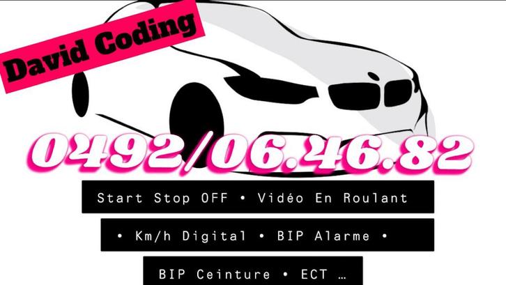 ️ ACTIVATION OPTIONS CACHÉES BMW - MINI ️, Autos : Pièces & Accessoires, Électronique & Câbles, BMW, Mini, Neuf