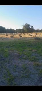 Hooi, Dieren en Toebehoren, Stalling en Weidegang