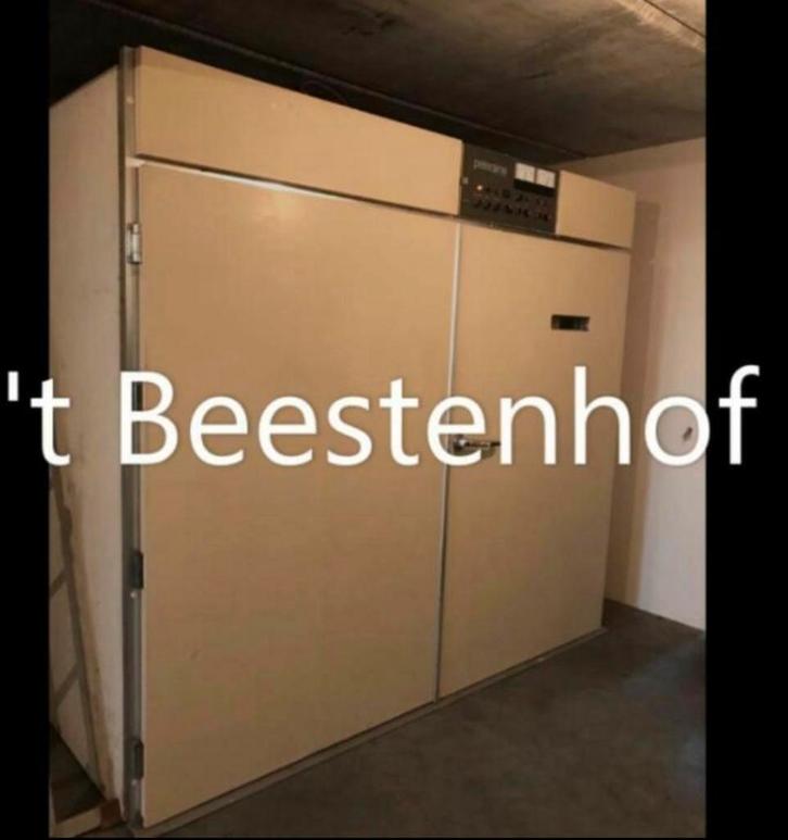 Service d'élevage - nous incubons vos œufs, Animaux & Accessoires, Volatiles