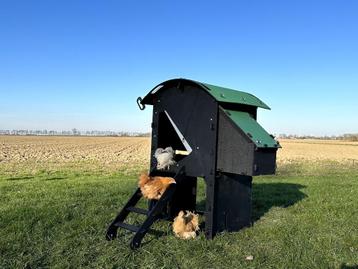 Kunststof Kippenhok - Nestera Small Verhoogd beschikbaar voor biedingen
