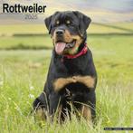 Calendrier Rottweiler 2025, Enlèvement ou Envoi, Calendrier annuel, Neuf