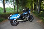 Harley-Davidson Lowrider ST Fast Johnnie vele opties, Particulier