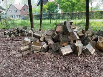 4,5 kuub brandhout te Lille