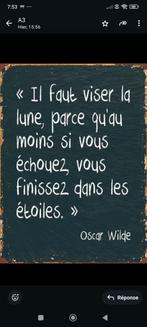 devise oscar Wilde plaque murale en bois d albesia 40x30 cm, Huis en Inrichting, Ophalen of Verzenden, Nieuw