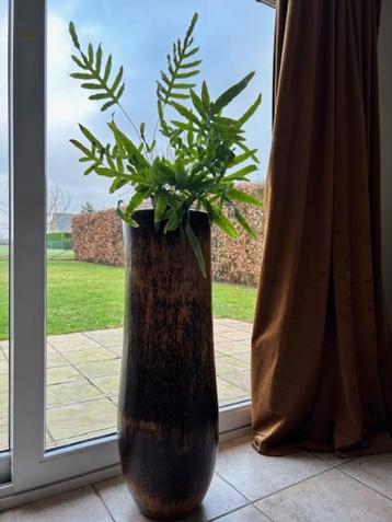 Zeldzame palmvaas - natuurlijke decoratie beschikbaar voor biedingen