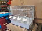 Witte broedkooi draadkooi stapelbaar 45cm ( met onderbak ), Ophalen, Nieuw