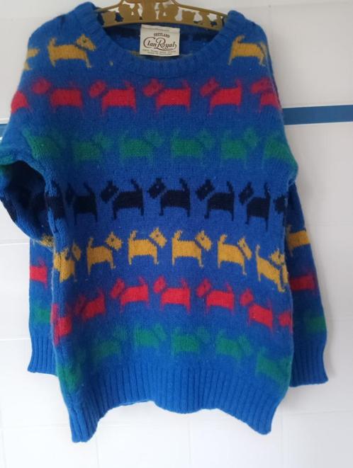 shetland wintertruitje, Kinderen en Baby's, Kinderkleding | Maat 104, Gebruikt, Jongen of Meisje, Trui of Vest, Ophalen