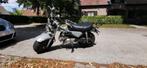 SKYTEAM T-REX, Fietsen en Brommers, Ophalen, Gebruikt, Skyteam, 125 cc