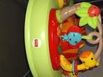 Fisher-price Babyjumper, Ophalen of Verzenden, Zo goed als nieuw, Babygym, Met geluid