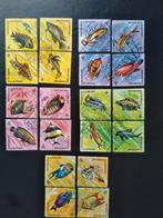 Burundi, pêche, Envoi, Affranchi, Animal et Nature