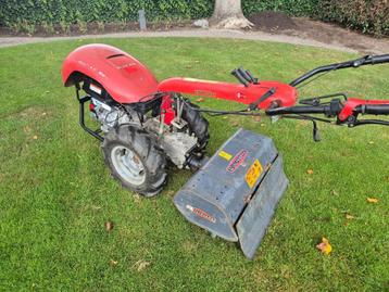 Tuinfrees Valpadana Blitz 80  beschikbaar voor biedingen