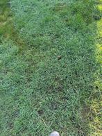 Weide, Tuin en Terras, Ophalen