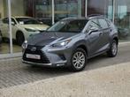 Lexus NX 300h Hybrid AWD Business Line+ LEDER Zetelverwarmin, Autos, Cuir, Argent ou Gris, Entreprise, 5 places