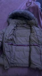 Jas, Ophalen, Tommy hilfiger, Beige, Zo goed als nieuw