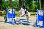 Super lieve en brave D pony, Dieren en Toebehoren, Merrie, B, Gechipt, Springpony