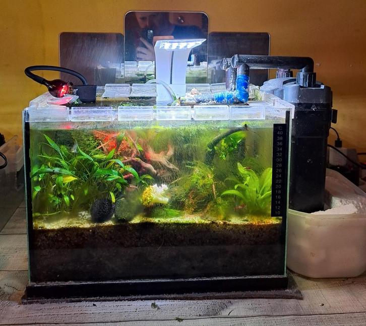 2 heel kleine complete aquaria mt visjes,garnalen, planten.., Dieren en Toebehoren, Vissen | Aquaria en Toebehoren, Zo goed als nieuw