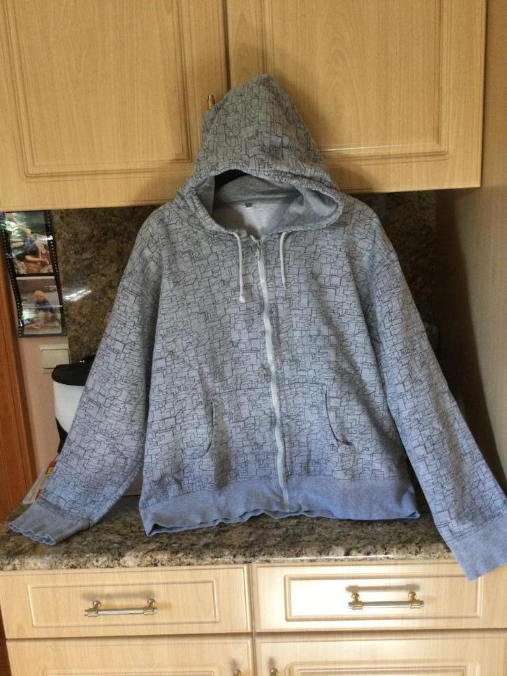 Sweat-shirt, Kinderen en Baby's, Kinderkleding | Maat 164, Zo goed als nieuw, Jongen of Meisje, Overige typen, Ophalen