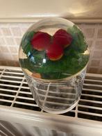 Leuk confituurpotje, Huis en Inrichting, Ophalen of Verzenden, Zo goed als nieuw