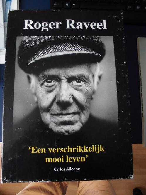 Roger Raveel, 4 boeken, Livres, Art & Culture | Arts plastiques, Comme neuf, Peinture et dessin, Enlèvement ou Envoi