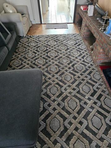 Tapis Gris Taupe - Grijs taupe tapijten  beschikbaar voor biedingen