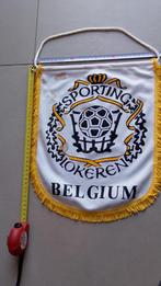 vaandel wimpel Sporting Lokeren (vuil), Enlèvement ou Envoi