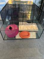 Hamsterhok, Dieren en Toebehoren, 60 tot 90 cm, Hamster, Ophalen of Verzenden, Zo goed als nieuw