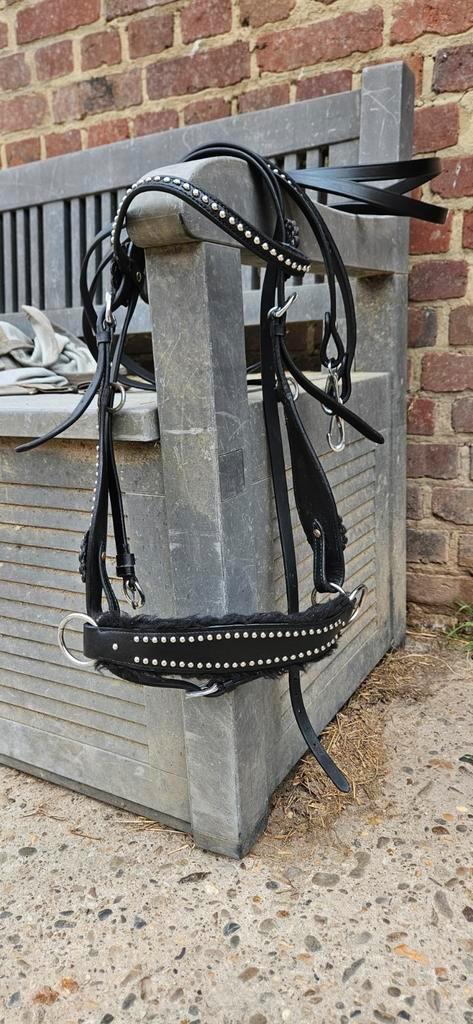 Te koop western hoofdstel, Dieren en Toebehoren, Paarden en Pony's | Hoofdstellen en Tuigage, Zo goed als nieuw, Western, Ophalen of Verzenden