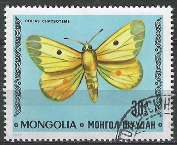 Mongolie 1977 - Yvert 928 - Vlinders  Colias chrysoteme (ST) beschikbaar voor biedingen