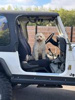 Ax15 versnellingsbak jeep wrangler, Ophalen, Gebruikt, Jeep