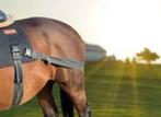 EQUINE RENTAL SERVICES: verhuur equi-band (equicore concepts, Enlèvement ou Envoi