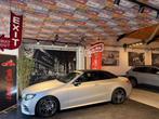 Mercedes-Benz E-Klasse 200 * CABRIOLET * AMG PACK * CUIRS *, Autos, Cuir, Argent ou Gris, Achat, Entreprise