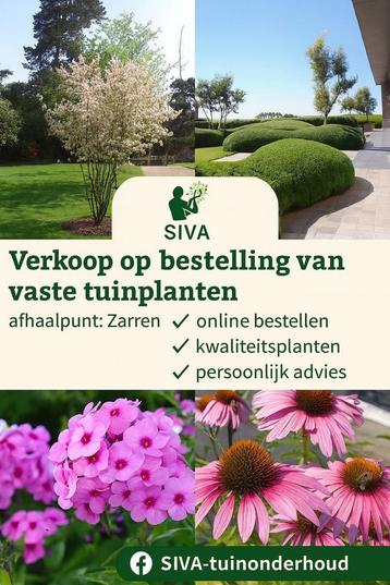Struiken /hagen & vaste planten C/KL/BW beschikbaar voor biedingen