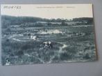 oude postkaart Limburgse kempen Genk Moerassen, Verzenden, Voor 1920, Ongelopen, Limburg