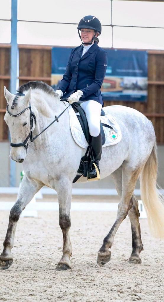 Nieuwe thuis gezocht voor prachtige PRE ruin 8 jaar, Dieren en Toebehoren, Paarden, Ruin, M, 165 tot 170 cm, 7 tot 10 jaar, Dressuurpaard