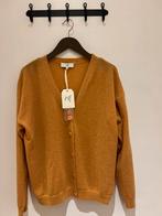 Jeff vest, Kleding | Dames, Ophalen of Verzenden, Nieuw