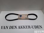 Mercedes Benz V-Riem A6019970592, Verzenden, Nieuw